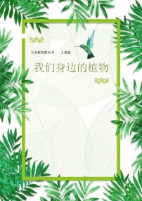 人美版（北京）四年级下册12. 我们身边的植物教案设计