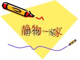 四年級下冊美術(shù)課件-第8課：靜物一家（74）-湘美版