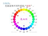 四年级下册美术课件-第13课  画水果 ▏人美版（北京）