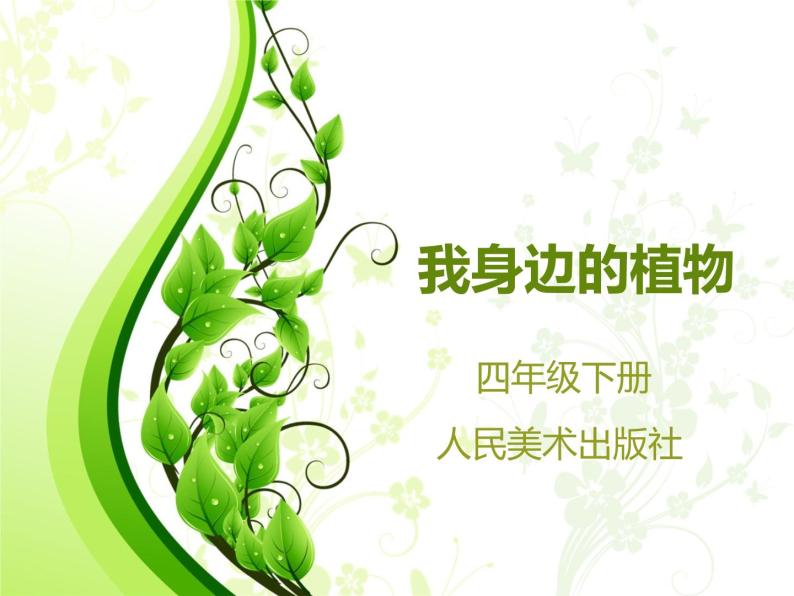 四年级下册美术课件-第12课 我们身边的植物 ▏人美版（北京） （17张PPT）03