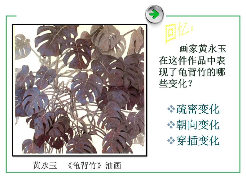 四年级下册美术课件-第12课 我们身边的植物 ▏人美版（北京）03