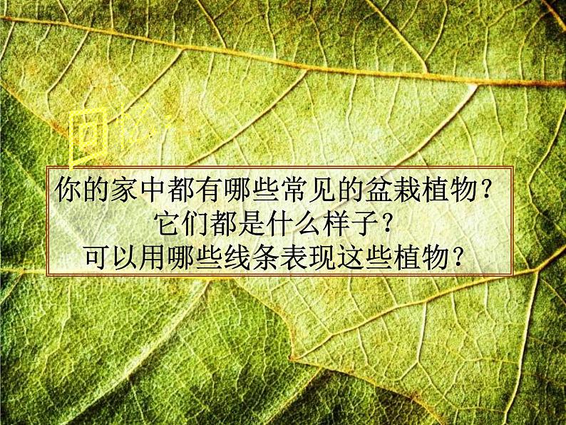 四年级下册美术课件-第12课 我们身边的植物 ▏人美版（北京）05