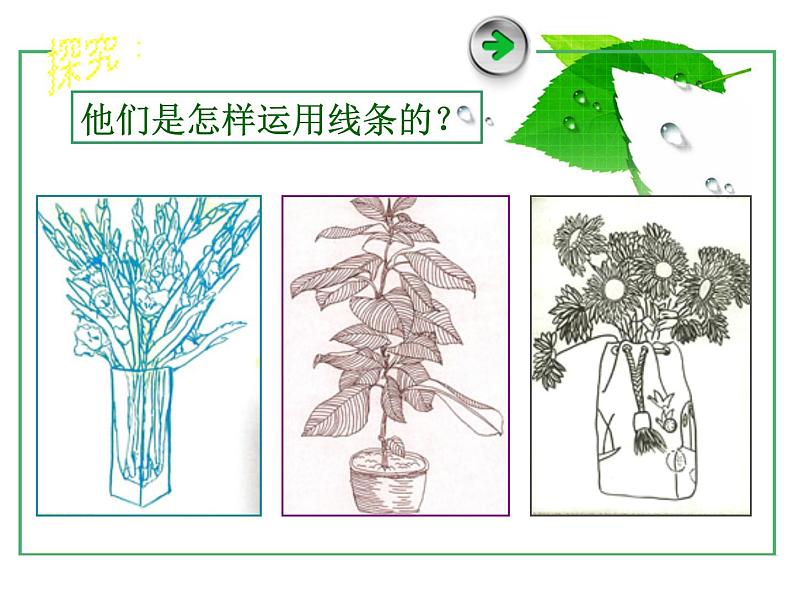 四年级下册美术课件-第12课 我们身边的植物 ▏人美版（北京）06