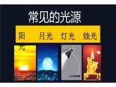 17.影子大王課件PPT
