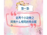 19.蹦蹦跳跳课件PPT