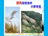 6.風(fēng)來了課件
