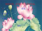赣美版小学美术三下 5.荷花美 课件