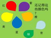 赣美版小学美术三下 4.瓜果飘香 课件