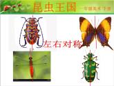 一年级下册美术课件－6.昆虫王国｜岭南版