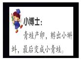 一年級下冊美術課件－8. 小動物和媽媽｜嶺南版