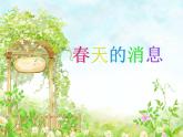 嶺南版三年級(jí)下冊(cè)美術(shù) 13.春天的消息 課件