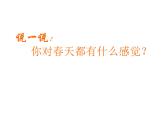 嶺南版三年級(jí)下冊(cè)美術(shù) 13.春天的消息 課件