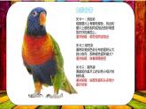 四年級下冊美術課件-第12課：色彩取樣（36）-湘美版（10張PPT）