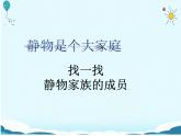 四年級下冊美術(shù)課件-第8課：靜物一家（113）-湘美版（19張PPT）