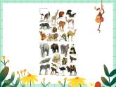 第12课《动物装饰画》课件PPT+教案