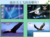 我在空中飛 3課件PPT
