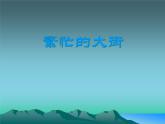 繁忙的大街1課件PPT