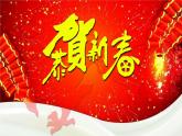 第十九課 過年啦5課件PPT