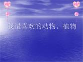 美麗的植物和動物1課件PPT