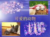 美麗的植物和動物1課件PPT