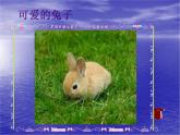 美麗的植物和動物1課件PPT