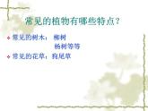 美麗的植物和動物3課件PPT