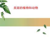 美麗的植物和動物4課件PPT