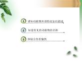 美麗的植物和動物4課件PPT