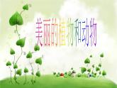 美麗的植物和動物2課件PPT