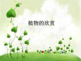 美麗的植物和動物2課件PPT