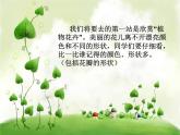 美麗的植物和動物2課件PPT