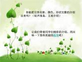 美麗的植物和動物2課件PPT