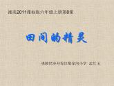 湖南美術(shù)出版社小學(xué)美術(shù)六年級上冊 8. 田間的精靈課件PPT