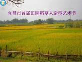 湖南美術(shù)出版社小學(xué)美術(shù)六年級上冊 8. 田間的精靈課件PPT