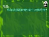 2022人教版三年級(jí)下冊(cè)美術(shù)19.保護(hù)珍稀野生動(dòng)物課件18頁(yè)
