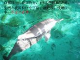 2022人教版三年級(jí)下冊(cè)美術(shù)19.保護(hù)珍稀野生動(dòng)物課件18頁(yè)