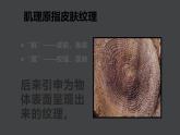 10.巧用肌理課件PPT