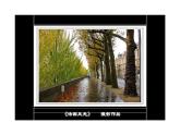 遙遠(yuǎn)的地平線課件PPT
