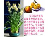 瓶花與水果課件PPT