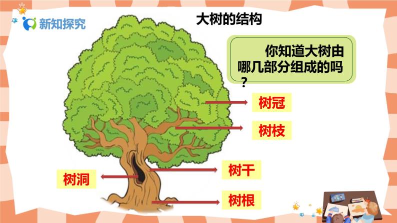 人美版15大树的故事教学课件ppt