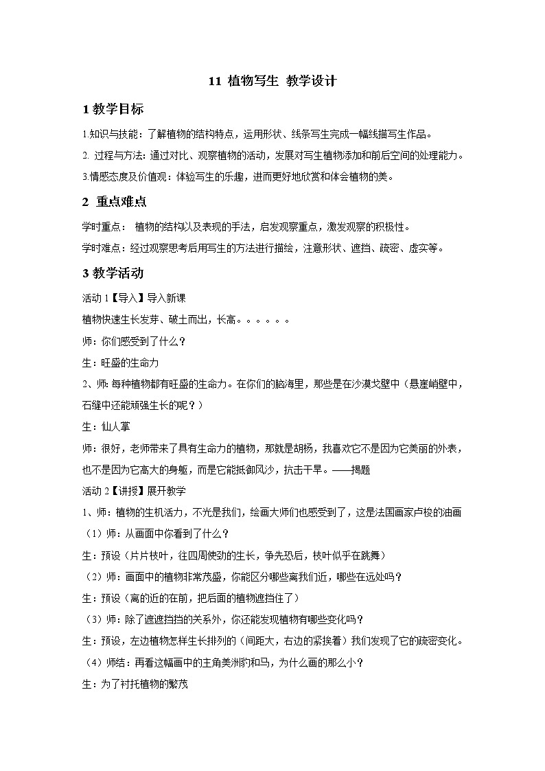11植物写生 教案第1页