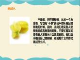 嶺南版四年級下冊美術(shù)課件-第3課 從不同角度畫物體