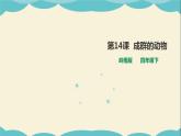 嶺南版四年級(jí)下冊(cè)美術(shù)課件-第14課 成群的動(dòng)物