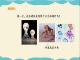 嶺南版四年級下冊美術(shù)課件-第19課 造型別致的日用品