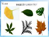 第十一課《拓印樹葉真有趣》課件+教案