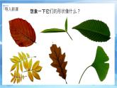 第十一課《拓印樹葉真有趣》課件+教案