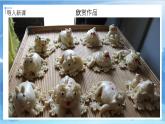 第十課《民間面塑》課件+教案
