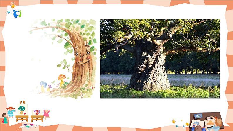 岭南版2上美术第8课《给树爷爷画像》课件+教案03