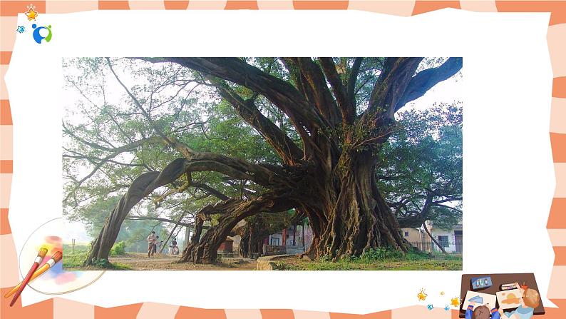 岭南版2上美术第8课《给树爷爷画像》课件+教案04