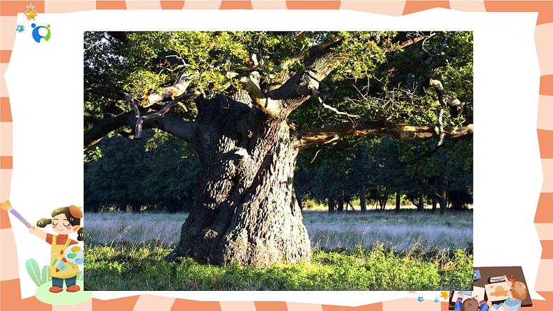 岭南版2上美术第8课《给树爷爷画像》课件+教案05